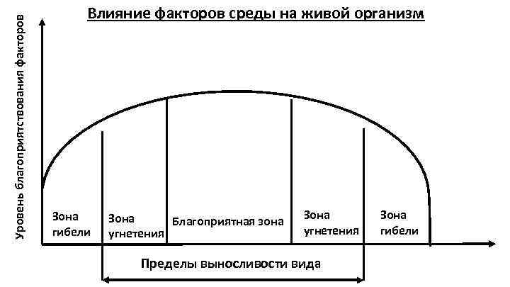 Уровень благоприятствования факторов Влияние факторов среды на живой организм Зона гибели Зона Благоприятная зона