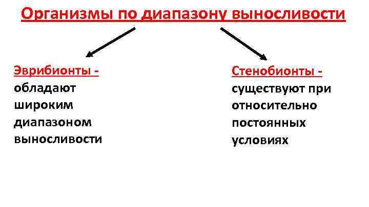 Организмы по диапазону выносливости Эврибионты обладают широким диапазоном выносливости Стенобионты существуют при относительно постоянных