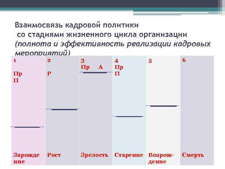 Взаимосвязь кадровой политики со стадиями жизненного цикла организации (полнота и эффективность реализации кадровых мероприятий)