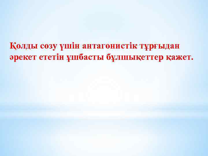 Қолды созу үшін антагонистік тұрғыдан әрекет ететін ұшбасты бұлшықеттер қажет. 