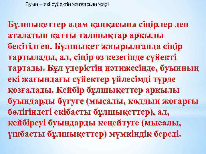 Буын – екі сүйектің жалғасқан жері Бұлшықеттер адам қаңқасына сіңірлер деп аталатын қатты талшықтар