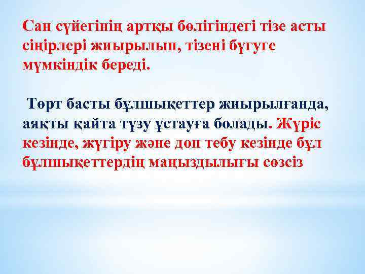 Сан сүйегінің артқы бөлігіндегі тізе асты сіңірлері жиырылып, тізені бүгуге мүмкіндік береді. Төрт басты