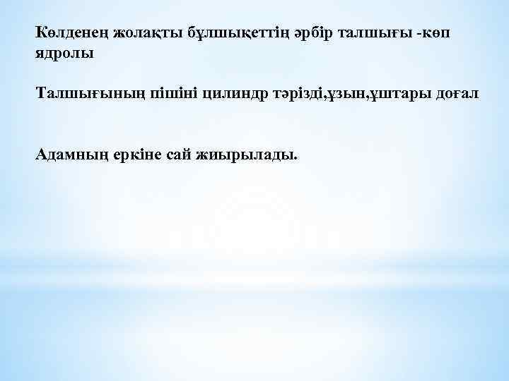 Көлденең жолақты бұлшықеттің әрбір талшығы -көп ядролы Талшығының пішіні цилиндр тәрізді, ұзын, ұштары доғал