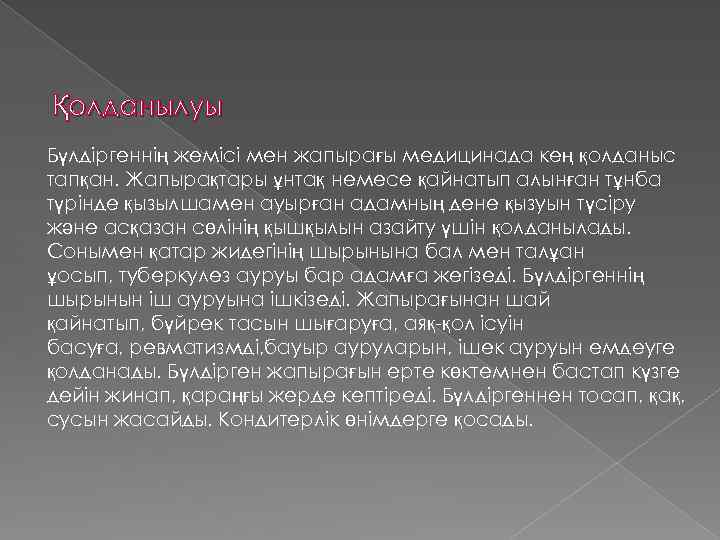  Қолданылуы Бүлдіргеннің жемісі мен жапырағы медицинада кең қолданыс тапқан. Жапырақтары ұнтақ немесе қайнатып