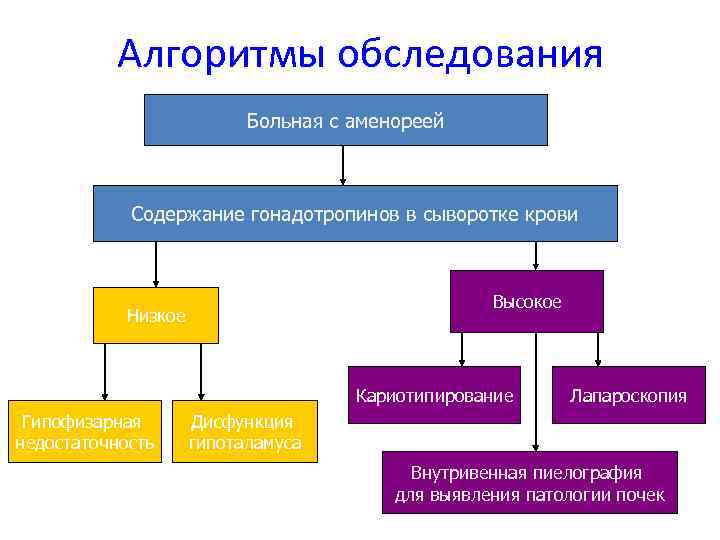 Алгоритмы обследования Больная с аменореей Содержание гонадотропинов в сыворотке крови Высокое Низкое Кариотипирование Гипофизарная