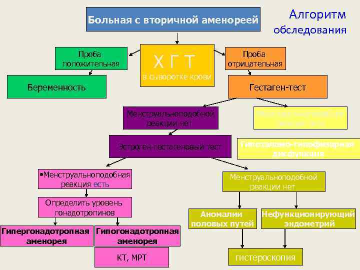 Больная с вторичной аменореей Проба положительная ХГТ Алгоритм обследования Проба отрицательная в сыворотке крови