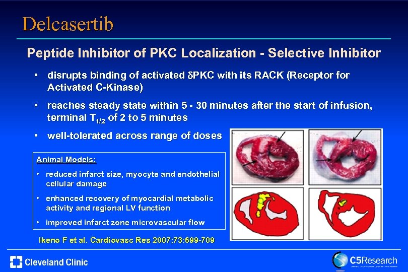 Delcasertib Peptide Inhibitor of PKC Localization - Selective Inhibitor • disrupts binding of activated