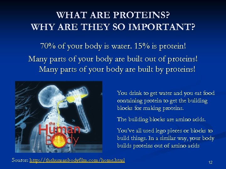 WHAT ARE PROTEINS? WHY ARE THEY SO IMPORTANT? 70% of your body is water.