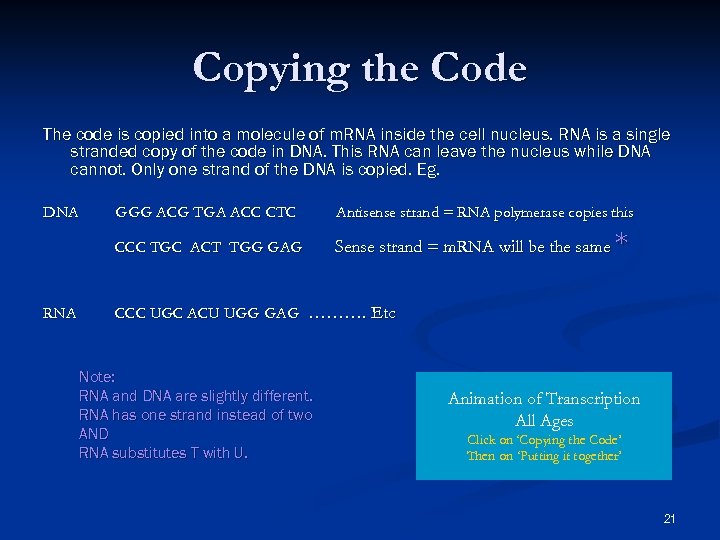 Copying the Code The code is copied into a molecule of m. RNA inside