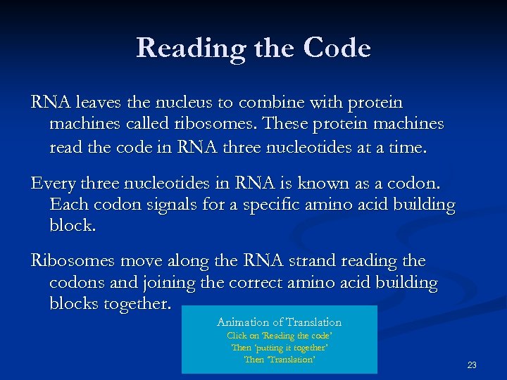 Reading the Code RNA leaves the nucleus to combine with protein machines called ribosomes.