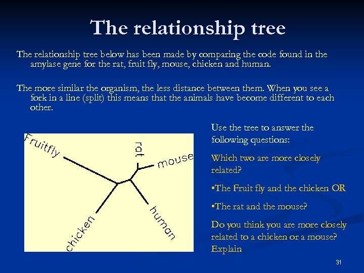 The relationship tree below has been made by comparing the code found in the