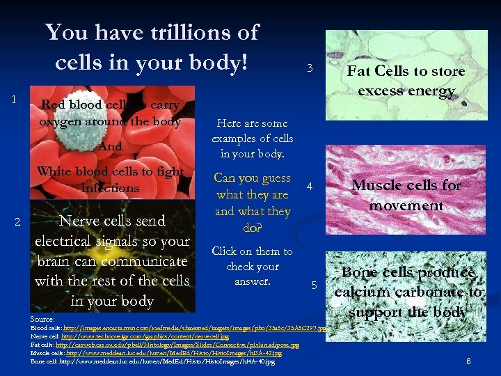 You have trillions of cells in your body! 1 Red blood cells to carry