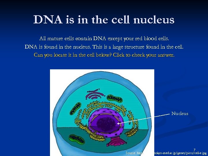 DNA is in the cell nucleus All mature cells contain DNA except your red