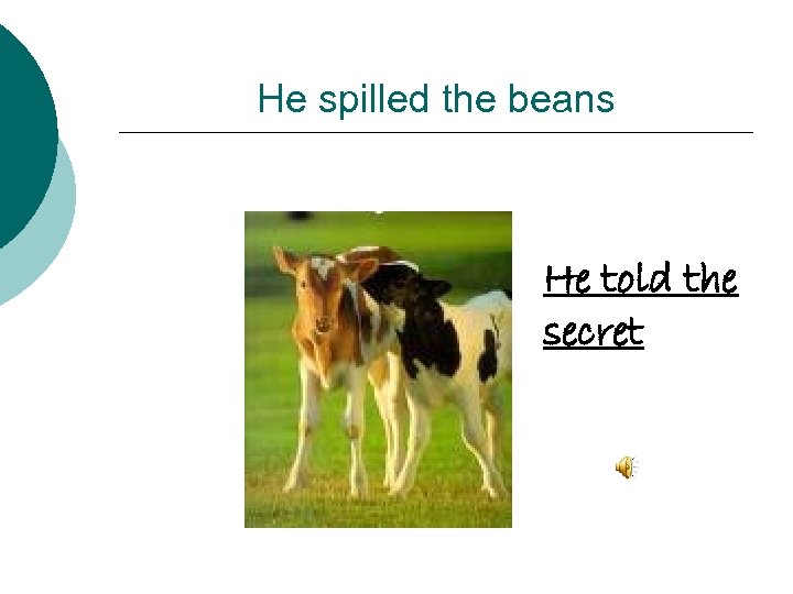 He spilled the beans He told the secret 