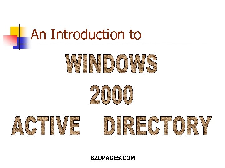 An Introduction to BZUPAGES. COM 