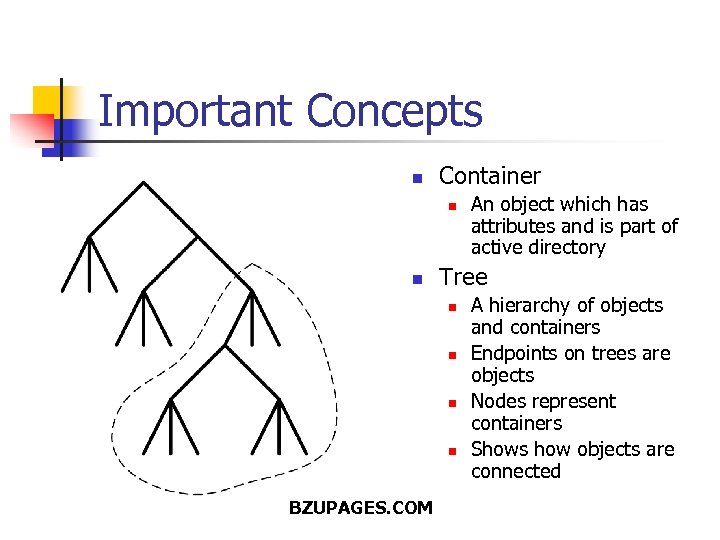 Important Concepts n Container n n Tree n n BZUPAGES. COM An object which