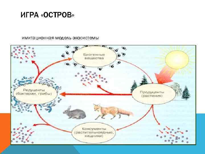 ИГРА «ОСТРОВ» имитационная модель экосистемы 