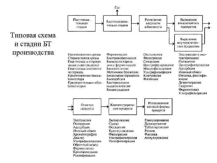 Типовая схема и стадии БТ производства 