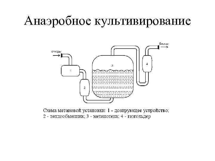 Анаэробное культивирование 