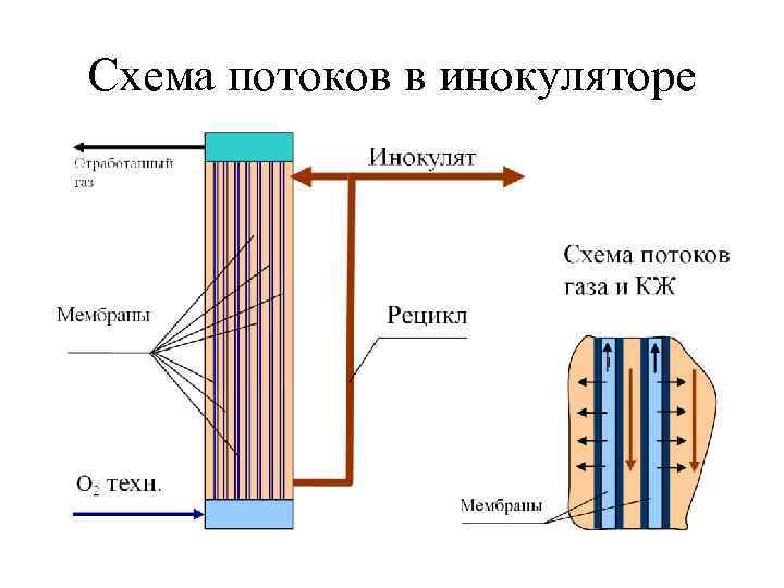 Схема потоков в инокуляторе 