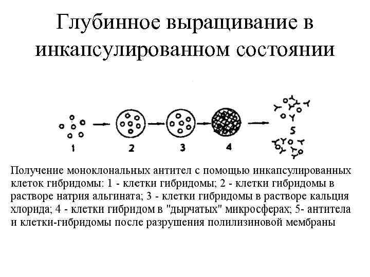 Глубинное выращивание в инкапсулированном состоянии 