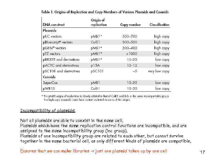 Incompatibility of plasmids: Not all plasmids are able to coexist in the same cell.