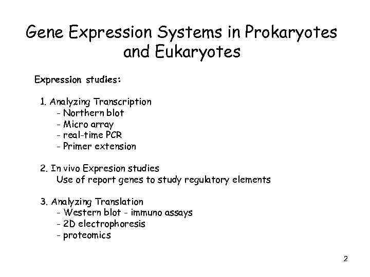 Gene Expression Systems in Prokaryotes and Eukaryotes Expression studies: 1. Analyzing Transcription - Northern