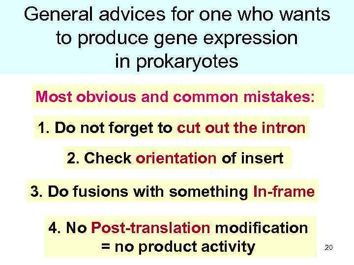 General advices for one who wants to produce gene expression in prokaryotes Most obvious