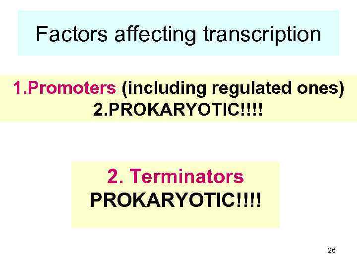 Factors affecting transcription 1. Promoters (including regulated ones) 2. PROKARYOTIC!!!! 2. Terminators PROKARYOTIC!!!! 26