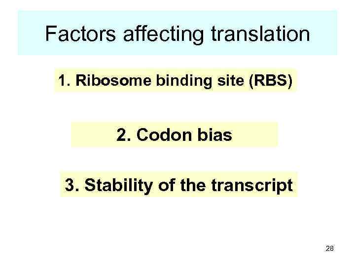 Factors affecting translation 1. Ribosome binding site (RBS) 2. Codon bias 3. Stability of