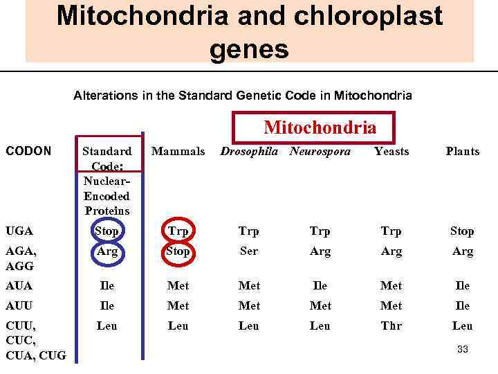 Mitochondria and chloroplast genes Alterations in the Standard Genetic Code in Mitochondria CODON Standard