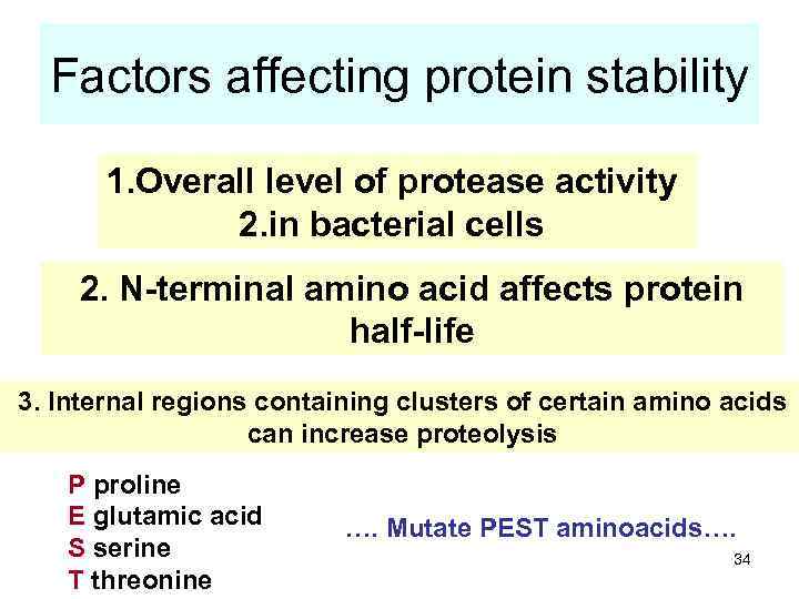 Factors affecting protein stability 1. Overall level of protease activity 2. in bacterial cells