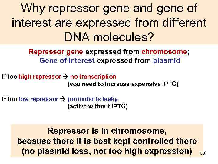 Why repressor gene and gene of interest are expressed from different DNA molecules? Repressor