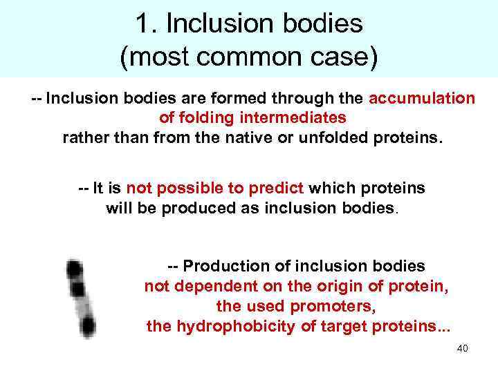 1. Inclusion bodies (most common case) -- Inclusion bodies are formed through the accumulation