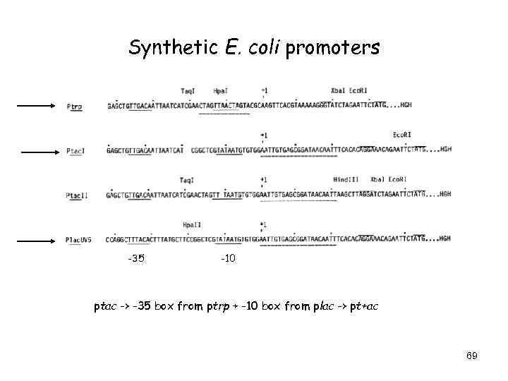 Synthetic E. coli promoters -35 -10 ptac -> -35 box from ptrp + -10