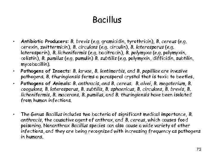 Bacillus • • Antibiotic Producers: B. brevis (e. g. gramicidin, tyrothricin), B. cereus (e.