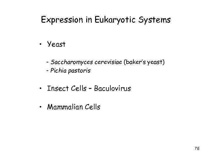 Expression in Eukaryotic Systems • Yeast - Saccharomyces cerevisiae (baker’s yeast) - Pichia pastoris