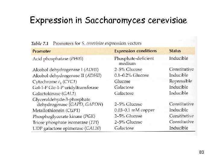 Expression in Saccharomyces cerevisiae 83 