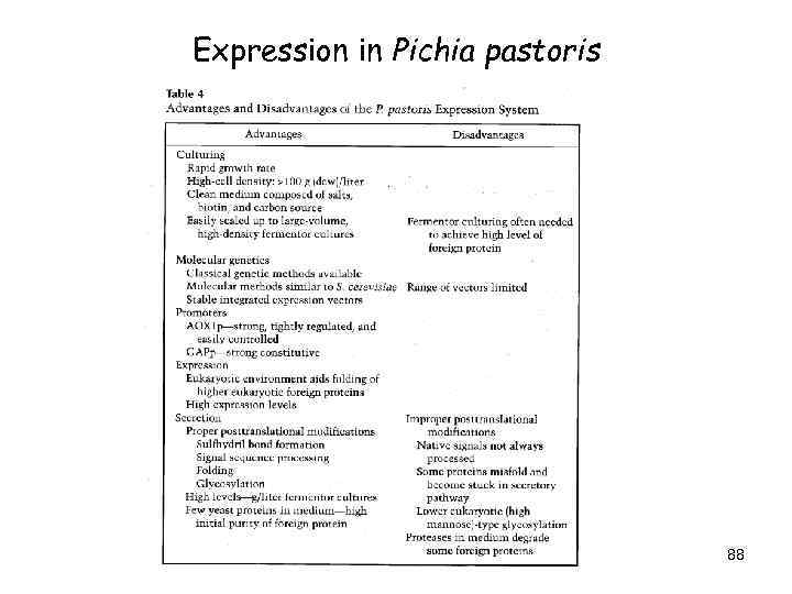 Expression in Pichia pastoris 88 