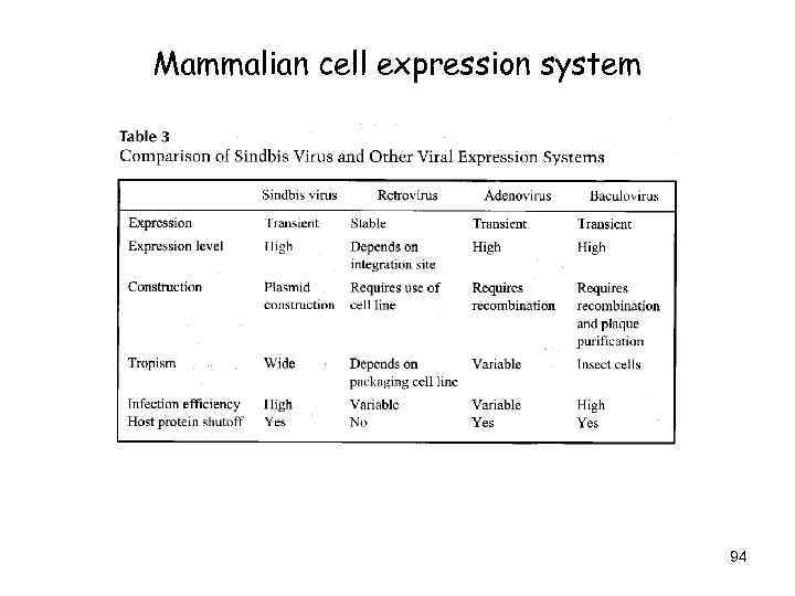 Mammalian cell expression system 94 