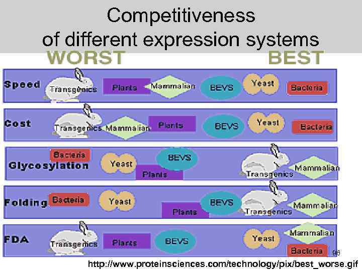 Competitiveness of different expression systems 96 http: //www. proteinsciences. com/technology/pix/best_worse. gif 