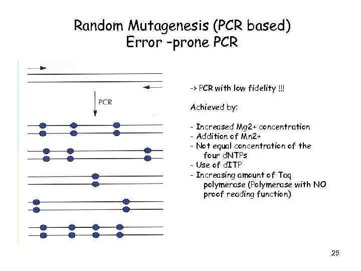 Random Mutagenesis (PCR based) Error –prone PCR -> PCR with low fidelity !!! Achieved