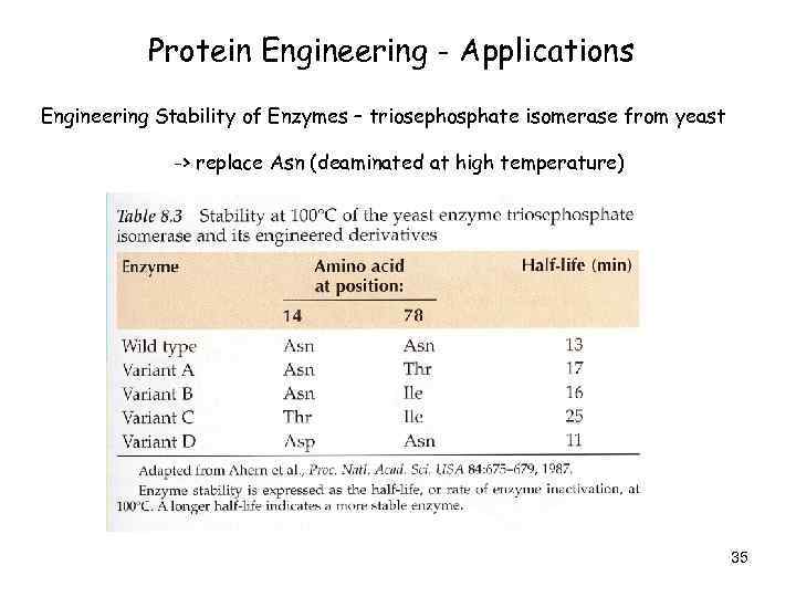 Protein Engineering - Applications Engineering Stability of Enzymes – triosephosphate isomerase from yeast ->