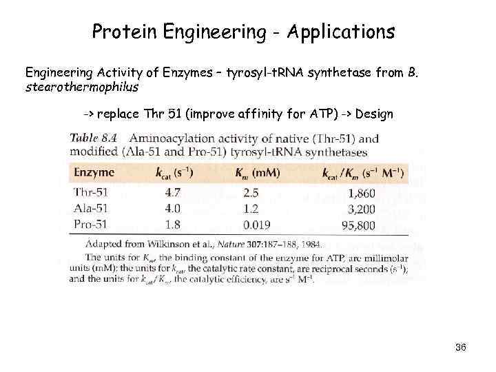 Protein Engineering - Applications Engineering Activity of Enzymes – tyrosyl-t. RNA synthetase from B.