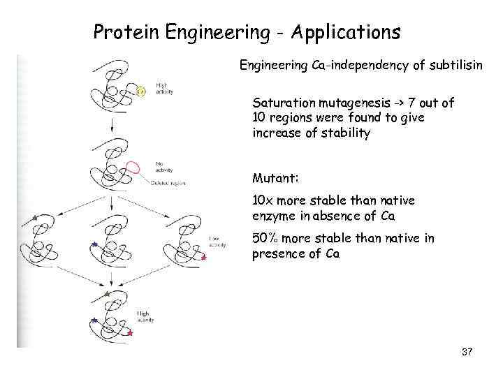 Protein Engineering - Applications Engineering Ca-independency of subtilisin Saturation mutagenesis -> 7 out of