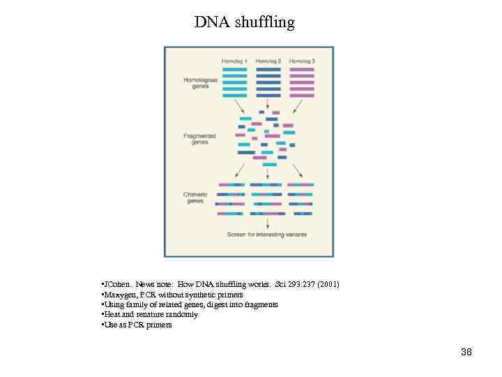 DNA shuffling • JCohen. News note: How DNA shuffling works. Sci 293: 237 (2001)