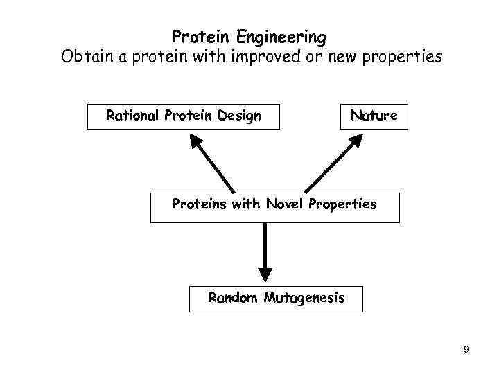 Protein Engineering Obtain a protein with improved or new properties Rational Protein Design Nature