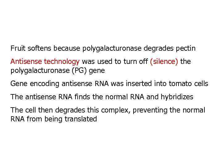 Fruit softens because polygalacturonase degrades pectin Antisense technology was used to turn off (silence)