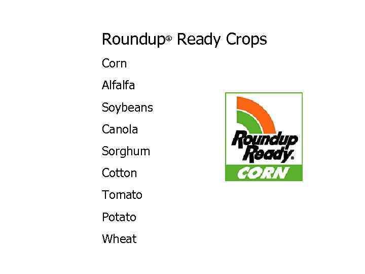 Roundup® Ready Crops Corn Alfalfa Soybeans Canola Sorghum Cotton Tomato Potato Wheat 