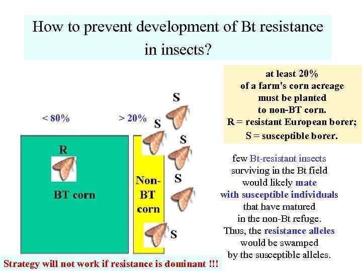 How to prevent development of Bt resistance in insects? < 80% > 20% Strategy